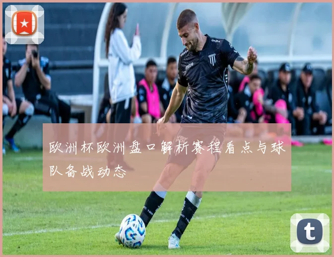 欧洲杯欧洲盘口解析赛程看点与球队备战动态