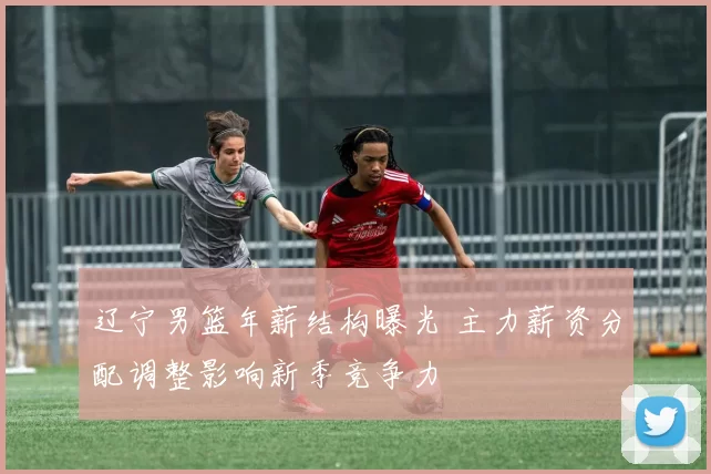 辽宁男篮年薪结构曝光 主力薪资分配调整影响新季竞争力