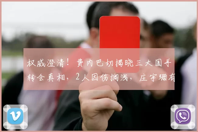 权威澄清！费内巴切揭晓三大国手转会真相，2人因伤搁浅，庄宇珊有变数_卢西·贝尔居_李盈_袁心玥