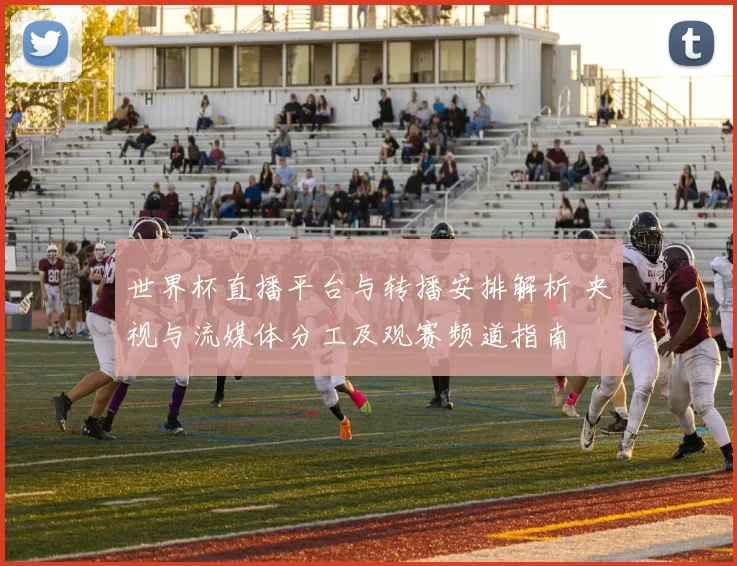 世界杯直播平台与转播安排解析 央视与流媒体分工及观赛频道指南