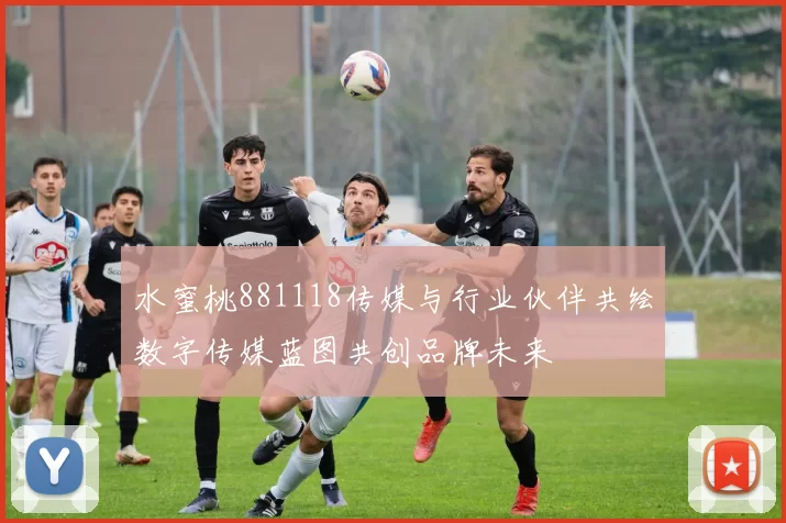 水蜜桃881118传媒与行业伙伴共绘数字传媒蓝图共创品牌未来