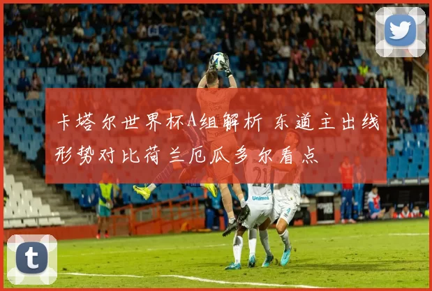 卡塔尔世界杯A组解析 东道主出线形势对比荷兰厄瓜多尔看点